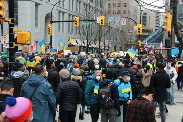 Mon arbre à chat : choix et conseils pratiques