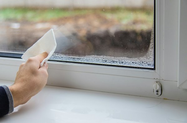 Traitement de l'humidité : solutions efficaces pour votre maison